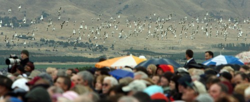 Steve Griffin  |  The Salt Lake Tribune


Seagulls, the Utah state bird, fly over thousands of LDS faithful who braved the rainy weather as they attended a groundbreaking ceremony for the Payson Temple in Payson, Utah Saturday, October 8, 2011.