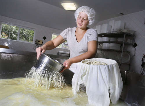 Scott Sommerdorf  |  The Salt Lake Tribune             
Abby Phunder prepares the curd for the Wasatch Mountain Gruyere at Rockhill Cheese Creamery in Richmond on Thursday, Oct. 13, 2011. It's owned by Jennifer Hines and Pete Schropp, and has been honored  by the National Trust for Historic Preservation. Rather than tear the old buildings down, Schropp repaired and converted them into useable space for making farmstead cheese.