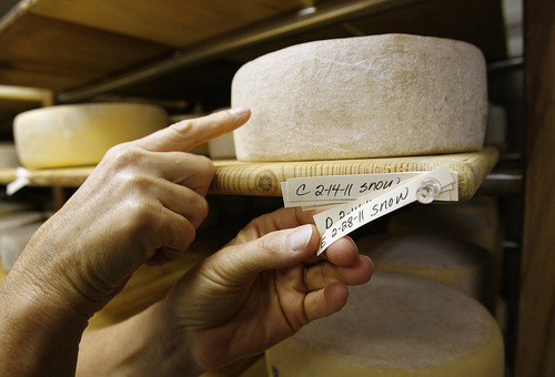 Scott Sommerdorf  |  The Salt Lake Tribune             
Jennifer Hines points out one of the cheeses aging at Rockhill Cheese Creamery in Richmond on Thursday, Oct. 13, 2011. Rockhill is owned by Hines and her husband Pete Schropp. It's been honored  by the National Trust for Historic Preservation, and is one of only a few places in Utah to earn this prestigious award.