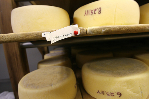 Scott Sommerdorf  |  The Salt Lake Tribune             
Cheeses aging at Rockhill Cheese Creamery in Richmond on Thursday, Oct. 13, 2011. Rockhill is owned by Jennifer Hines and Pete Schropp. It's been honored  by the National Trust for Historic Preservation, and is one of only a few places in Utah to earn this prestigious award.
