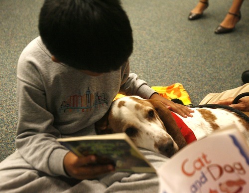 Rick Egan  | The Salt Lake Tribune 

Copperview Elementary first grader, Santiago Villanova,  reads to George the dog, in the library, Wednesday, October 26, 2011.  Copperview Elementary students read with Intermountain Therapy Animals Reading Education Assistance Dogs in a program to improve their reading skills. All the kids got to wear pajamas.