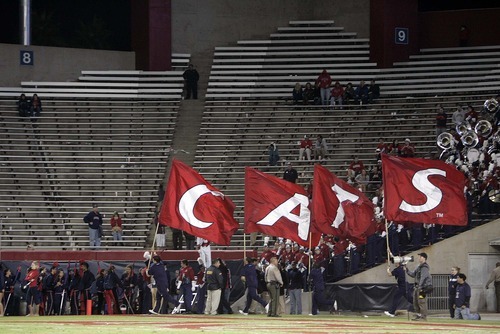 Trent Nelson  |  The Salt Lake Tribune
Arizona cheerleaders celebrate a late, meaningless touchdown as only a handful of fans remain in the second half as Utah faces Arizona, college football at Arizona Stadium in Tucson, Arizona, Saturday, November 5, 2011.