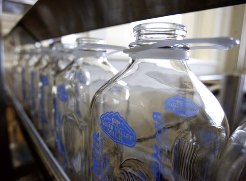 Trent Nelson  |  The Salt Lake Tribune
Empty milk bottles sit at Canyon View Farm in Midway on Tuesday. The Salt Lake Valley Health Department initially said a dairy in Midway may have been the source of a salmonella outbreak. The only dairy farm and cheese-maker in Midway is Canyon View Farm, whose business has suffered because of the mistake. The Midway farm was never involved in the outbreak and has never been investigated for any foodborne illness.