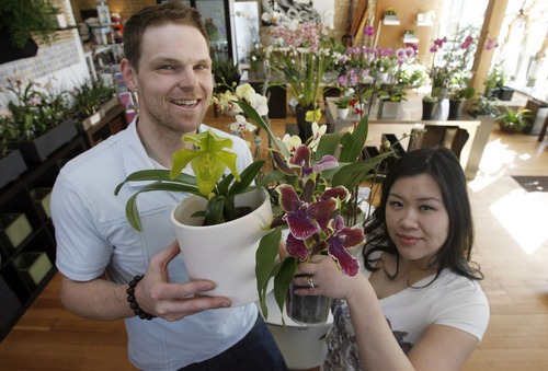 Francisco Kjolseth  |  The Salt Lake Tribune
Clint and Shelley Lewis, who specialize in orchids in the 9th and 9th neighborhood of Salt Lake City, are celebrating their 10th year.