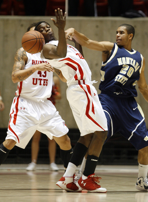Francisco Kjolseth  |  The Salt Lake Tribune
Utah's Anthony Odunsi tries to regain control of a ball after stealing it away from Montana State's Shawn Reid as Utah takes on Montana State at the Huntsman Center on Saturday, November 19, 2011.