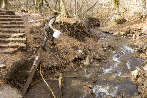 Trent Nelson  |  The Salt Lake Tribune
Mike Slater of the Division of Wildlife Resources stocked Red Butte Creek with 3,000 cutthroat trout now that the cleanup of the oil spill is complete in Salt Lake City on Tuesday, Nov. 22, 2011.