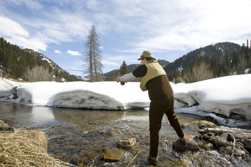 Tribune file photo
Franz Andersen casts into a hole along Big Cottonwood Creek near Jordan Pines Campground in Big Cottonwood Canyon in 2009.