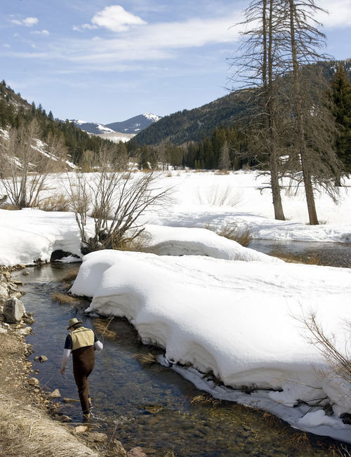 Tribune file photo
Franz Andersen casts into a hole along Big Cottonwood Creek near Jordan Pines Campground in Big Cottonwood Canyon in 2009