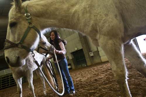 Chris Detrick |  Tribune file photo
Stephanie Williams of Eagle Mountain works with her horses Dolly, left, and Shadow at the Salt Lake County Equestrian Center. The County Council recently approved the expenditure of $900,000 to put a roof over a second arena at the South Jordan facility.