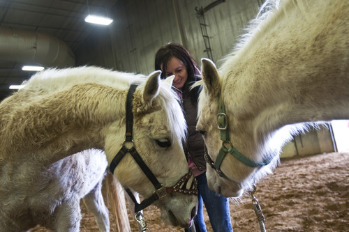 Chris Detrick  |  Tribune file photo
Stephanie Williams of Eagle Mountain works with her horses Dolly, left, and Shadow at the Salt Lake County Equestrian Center. The County Council recently approved the expenditure of $900,000 to put a roof over a second arena at the South Jordan facility.