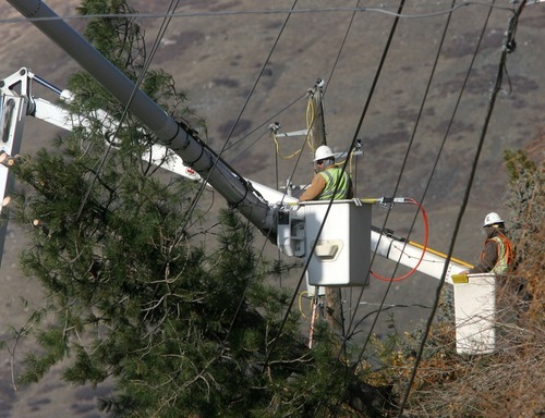 Steve Griffin  |  The Salt Lake Tribune
Crews work on power lines in Centerville on Thursday after high winds downed trees along the Wasatch Front, causing power outages in Davis and Weber counties.