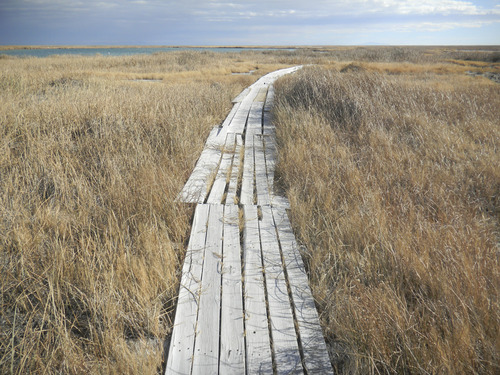 Tom Wharton | The Salt Lake Tribune
The boardwalk into Blue Lake helps when conditions are muddy.