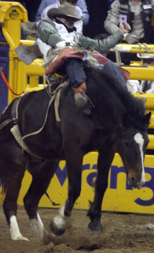 kaycee fields rodeo champion
