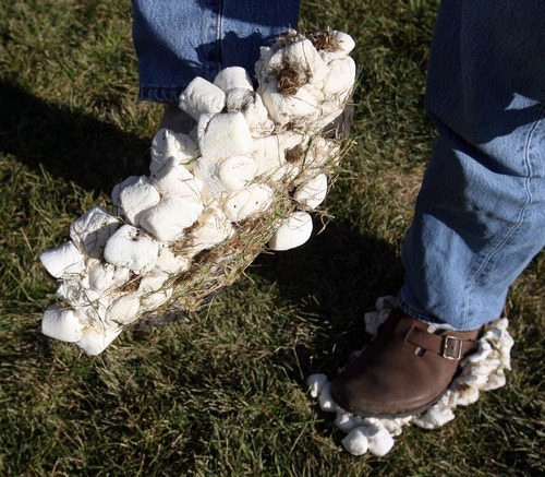 Steve Griffin  |  The Salt Lake Tribune
Hundreds of students at Eisenhower Junior High School attempted a new world record for the world's largest marshmallow fight by throwing 2,000 pounds of marshmallows -- about 140,000 of them -- in about 10 minutes in Taylorsville. Following the battle students cleaned up the whole mess.