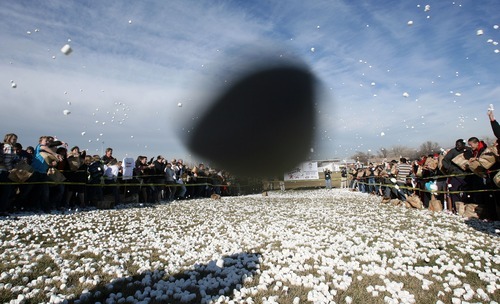 Steve Griffin  |  The Salt Lake Tribune
Hundreds of students at Eisenhower Junior High School attempted a new world record for the world's largest marshmallow fight by throwing 2,000 pounds of marshmallows -- about 140,000 of them -- in about 10 minutes in Taylorsville. Following the battle students cleaned up the whole mess.