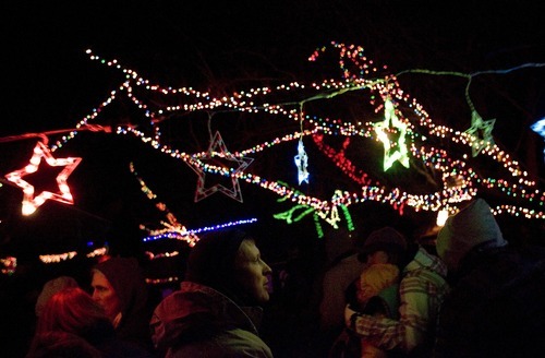 Kim Raff I The Salt Lake Tribune
Passengers on a boat during the Provo River Christmas Cruise look at Christmas lights on the Provo River on Thursday.