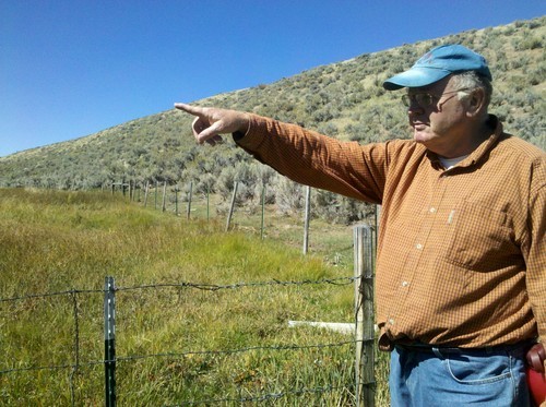Brandon Loomis | The Salt Lake Tribune
Jim Catlin of the Wild Utah Project points out differences between grazed grass and a wet meadow protected by a fence in late September, after a season's grazing at the Duck Creek allotment in Rich County. Wild Utah Project is one of two organizations trying to force changes to protect range health and sage grouse habitat.