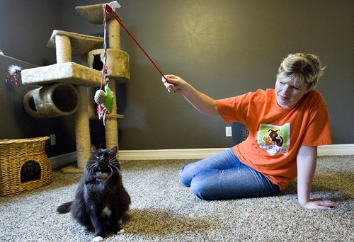 Djamila Grossman  |  The Salt Lake Tribune

Janita Coombs plays with Andrea at her Syracuse foster home. The cat survived two euthansia attempts at a West Valley City animal shelter. Coombs is taking care of her until a permanent owner can be found.