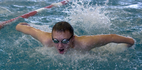 Al Hartmann  |  The Salt Lake Tribune
Murray High School swim team is having one of its best seasons.   Standout Tyler Nielsen swimming butterfly sprints on Friday December 30.