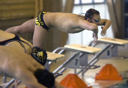 Al Hartmann  |  The Salt Lake Tribune
Murray High School swim team is having one of its best seasons.   Standout Tyler Nielsen starts from the block during practice  on Friday December 30.