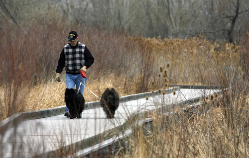 Francisco Kjolseth  |  The Salt Lake Tribune
Jon Axtman, a thirty-five year veteran of living next to the Jordan River Parkway near Vine street ventures outdoors for one of his daily walks with his Chow's on Wednesday, December 28, 2011. The Jordan River Commission has been awarded a grant from the River and Trails Conservation Assistance Program, run by the National Park Service. The money will help develop an interpretive trail map for the Jordan River Parkway.