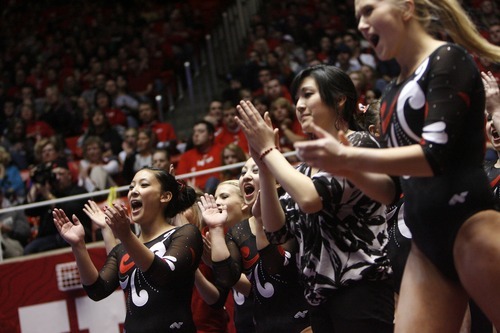 Chris Detrick  |  The Salt Lake Tribune
Members of the Utah gymnastics team cheer as Mary Beth Lofgren competes on the beam during the gymnastics meet against Utah State at the Huntsman Center Friday January 13, 2012.