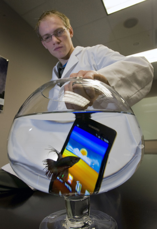 Al Hartmann  |  The Salt Lake Tribune
Andrew Thulin, an electrical engineering intern at HzO, submerges a turned-on smartphone into a fishbowl and the phone continues to work. The Utah company HzO has developed a process that coats the inside of your personal electronics like a cellphone that makes them completely waterproof.