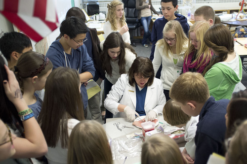 Trent Nelson  |  The Salt Lake Tribune
Highland High School teacher Ann Hogensen gives 8th grade students from Hillside Middle School a suture demonstration in her Introduction to Health class in Salt Lake City, Utah, Tuesday, January 10, 2012. The field trip is a unique approach to make the transition from middle school to high school easier for students and ensures that their 8th graders are better equipped to make wise and useful class choices when registering for high school.