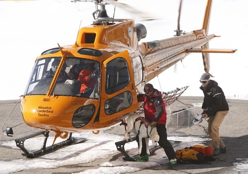 Leah Hogsten  |  The Salt Lake Tribune
 Wasatch Powderbird helicopter brings back Wasatch Backcountry Rescuers rescuers out of the canyon where one skier died in an avalanche. One person died in an avalanche in the backcountry between Big and Little Cottonwood canyons late Saturday, January 28, 2012. A group of three people were skiing on Kessler Ridge, an area that drops down into Mineral Fork Canyon in Big Cottonwood Canyon, when the avalanche was triggered at about 11:30 a.m. Wasatch Backcountry Rescue and several other crews searched the area with dogs and were able to eventually locate the victim. Hoyal said the skier was found dead at the scene at about 12:45 p.m.