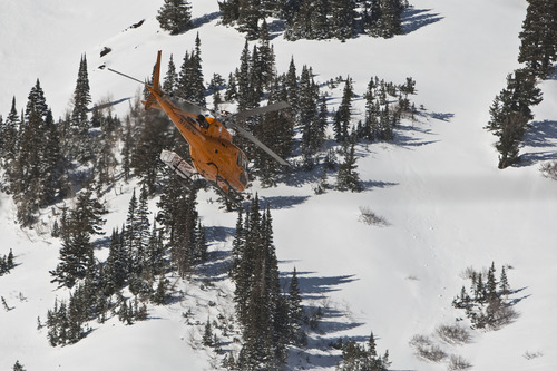 Chris Detrick  |  The Salt Lake Tribune
A Wasatch Powderbird helicopter flies in Little Cottonwood Canyon Saturday January 28, 2012. One person died in an avalanche in the backcountry between Big and Little Cottonwood canyons late Saturday morning. Unified Police Department Lt. Justin Hoyal said a group of three people were skiing on Kessler Ridge, an area that drops down into Mineral Fork Canyon in Big Cottonwood Canyon, when the avalanche was triggered at about 11:30 a.m.