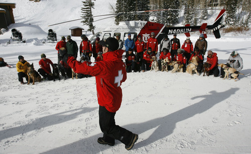 Francisco Kjolseth  |  The Salt Lake Tribune
Local teams of highly-trained avalanche rescue dogs and their handlers gather at Brighton at the top of Big Cottonwood Canyon on Wednesday, January 25, 2012 for a group picture before starting avalanche victim search drills, beacon searches, helicopter training and classroom sessions conducted by Wasatch Backcountry Rescue (WBR).