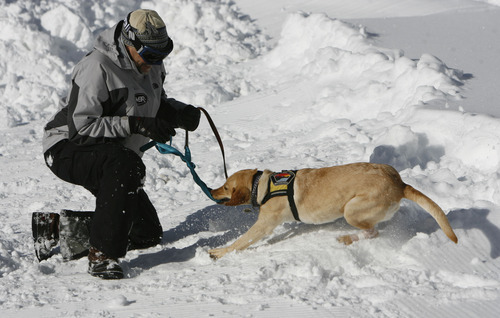 Francisco Kjolseth  |  The Salt Lake Tribune
Marvin Sumner, ski patrol director at Brighton resort rewards Rio after finding a victim in a snow hole during training. Local teams of highly-trained avalanche rescue dogs and their handlers gather at Brighton at the top of Big Cottonwood Canyon on Wednesday, January 25, 2012 to do avalanche victim search drills, beacon searches, helicopter training and classroom sessions conducted by Wasatch Backcountry Rescue (WBR).