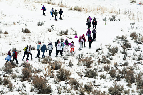 Chris Detrick  |  The Salt Lake Tribune
Participants snowshoe during the Tubbs Romp to Stomp Out Breast Cancer Snowshoe Series at the Round Valley Trails at Quinn's Junction Saturday February 11, 2012. The event raises money for the Salt Lake City affiliate of Susan G. Komen for the Cure.
