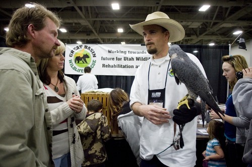 Dean Hawley, an educator with Great Basin Wildlife Rescue, shows off Catherine, a peregrine falcon, during the Western Hunting and Conservation Expo on Sunday, February 12, 2012 at the Salt Palace in Salt Lake City.
ASHLEY FRANSCELL/Special to The Salt Lake Tribune