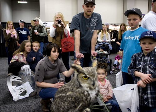 Kids and parents watch Shadow, a Great Horned Owl, as she turns her head 360-degrees at the Western Hunting and Conservation Expo on Sunday, February 12, 2012 at the Salt Palace in Salt Lake City. Shadow was one of three birds on display at the Great Basin Wildlife Rescue booth throughout the expo.
ASHLEY FRANSCELL/Special to The Salt Lake Tribune