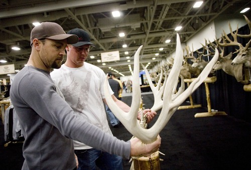 Frank Young and Cole Silcox look at the difference in size of antlers at the Muley Crazy booth during the Western Hunting and Conservation Expo on Sunday, February 12, 2012 at the Salt Palace in Salt Lake City.
ASHLEY FRANSCELL/Special to The Salt Lake Tribune