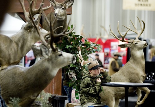 Surrounded by taxidermied animals, Morgan McEwen, 8, of Clinton, waits for his dad at the Mule Deer Foundation booth at Western Hunting and Conservation Expo on Sunday, February 12, 2012 at the Salt Palace in Salt Lake City.
ASHLEY FRANSCELL/Special to The Salt Lake Tribune