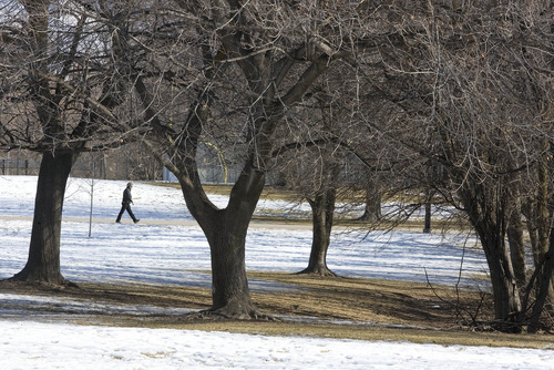 Paul Fraughton | The Salt Lake Tribune
A man is framed by leafless trees In Sugar House Park as he takes a winter stroll.