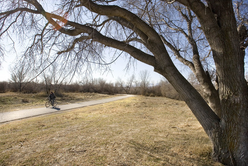 Paul Fraughton | The Salt Lake Tribune
A cyclist on the Jordan River Parkway trail near 3300 South.