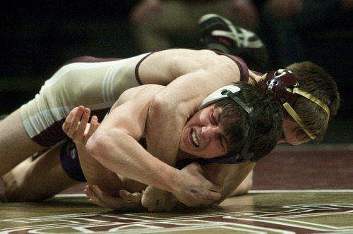 Chris Detrick  |  The Salt Lake Tribune
Maple Mountain's Britain Carter wrestles Box Elder's Shand Hardy in the 113lb weight class during the 4A wrestling tournament at Utah Valley University Thursday February 16, 2012. Carter won the match.