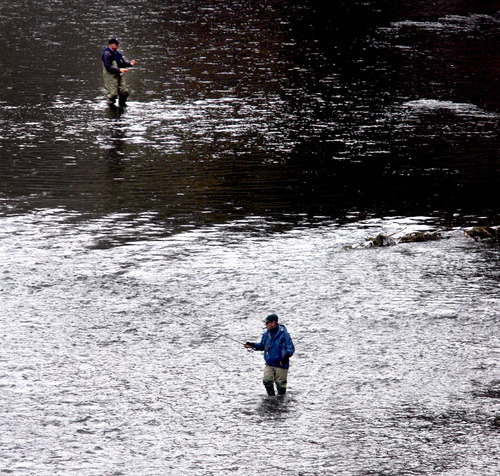 Steve Griffin  |  The Salt Lake Tribune

 Anglers try their luck in the Provo River below the Deer Creek reservoir dam Monday, February 27, 2012.