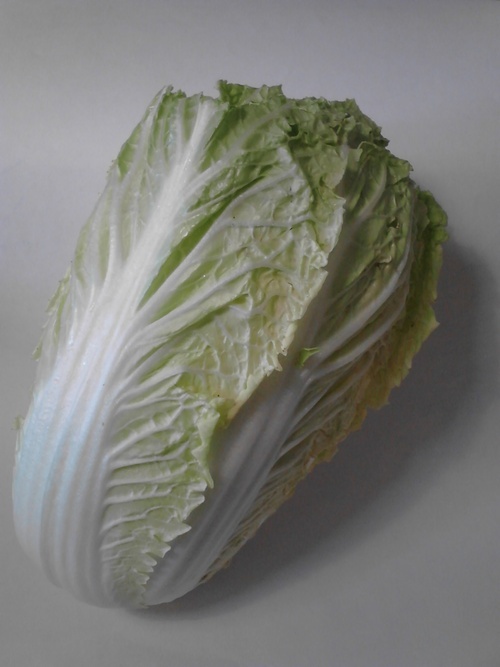 Lesli J. Neilson  |  The Salt Lake Tribune
Napa cabbage is a key ingredient in the making of kimchi, a Korean fermented condiment.