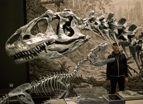 Al Hartmann  |  The Salt Lake Tribune
Total direct visitor spending in Salt Lake County in 2011 was estimated at $1.3 billion, generating more than $131 million in tax revenue and helped by the opening of Natural History Museum of Utah.