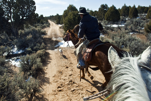 Chris Detrick  |  The Salt Lake Tribune
Cowboy Hoot Hatch, of Panguitch, rides to Rock Springs Point along the west edge of the Grand Staircase-Escalante National Monument on Saturday, Feb. 18, 2012.