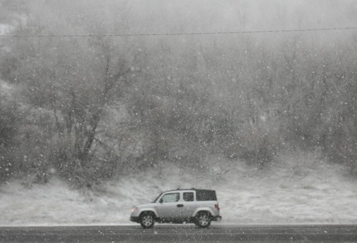 Steve Griffin | The Salt Lake Tribune
Snow falls in Emigration Canyon on Monday morning.