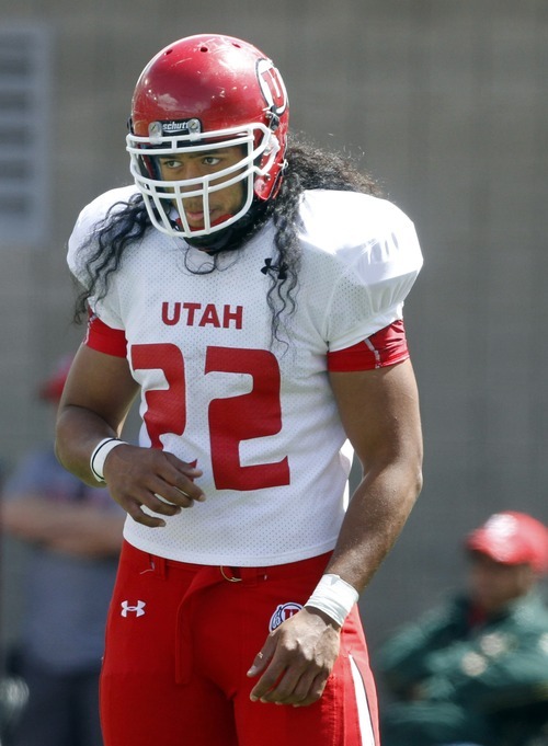 Rick Egan   |  The Salt Lake Tribune

Utah's Thretton Palamo will move from running back to defensive end after making the transition to football from rugby.