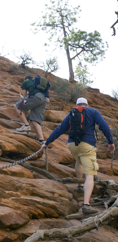 Al Hartmann  |  Tribune file photo 
Hikers carefully make their way up a section of the Angels Landing Trail in Zion National Park in March 2009. The trail offers one of the premier hikes in the park, taking visitors along a steep rock spine that climbs to a magnificent view of the Virgin River and Zion Canyon below. But the hike is not for those who fear heights.  An anchor chain is embedded in the rock in steep places along the trail for hikers to grab onto for safety.