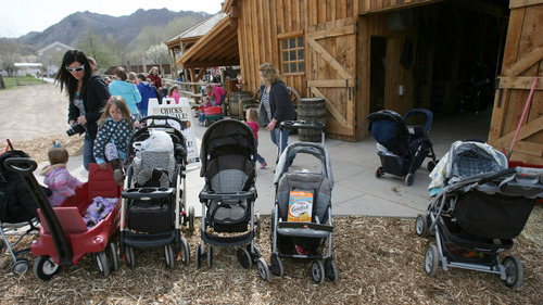 Steve Griffin | The Salt Lake Tribune

Strollers are lined up outside the baby animal barn at This Is the Place Heritage Park in Salt Lake City on Thursday, April 5, 2012. The baby animal season kicked off Thursday and will run through Saturday at the park.