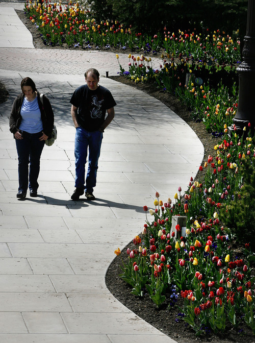 Thanksgiving Point Tulip Festival opens to public The Salt Lake Tribune