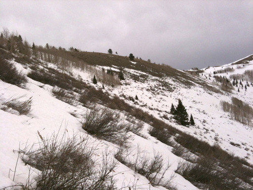 Bruce Tremper included this shot of a ridge at 9,500 feet in one of his last avalanche advisories of the season to illustrate his concern about the lack of snow. Soon after, he wrote: 